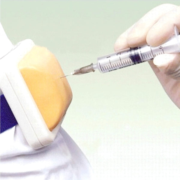 Intramuscular (IM)  Injection Training Model