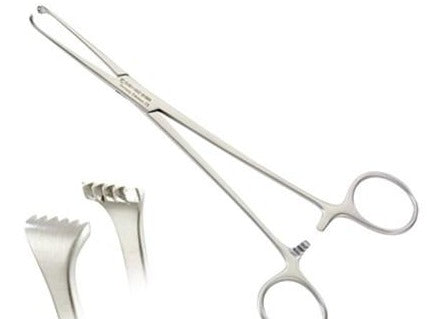 Allis Tissue Forceps 6"